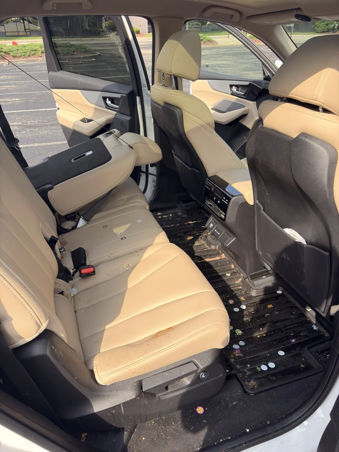 Vehicle interior before detailing